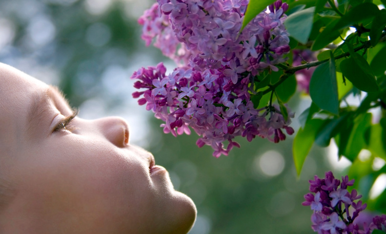 Smelling Flowers